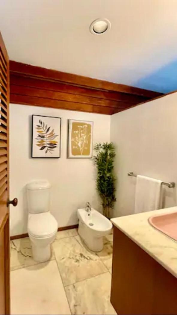 Spacious Hideaway Retreat, Brookfield, بريزبين المظهر الخارجي الصورة